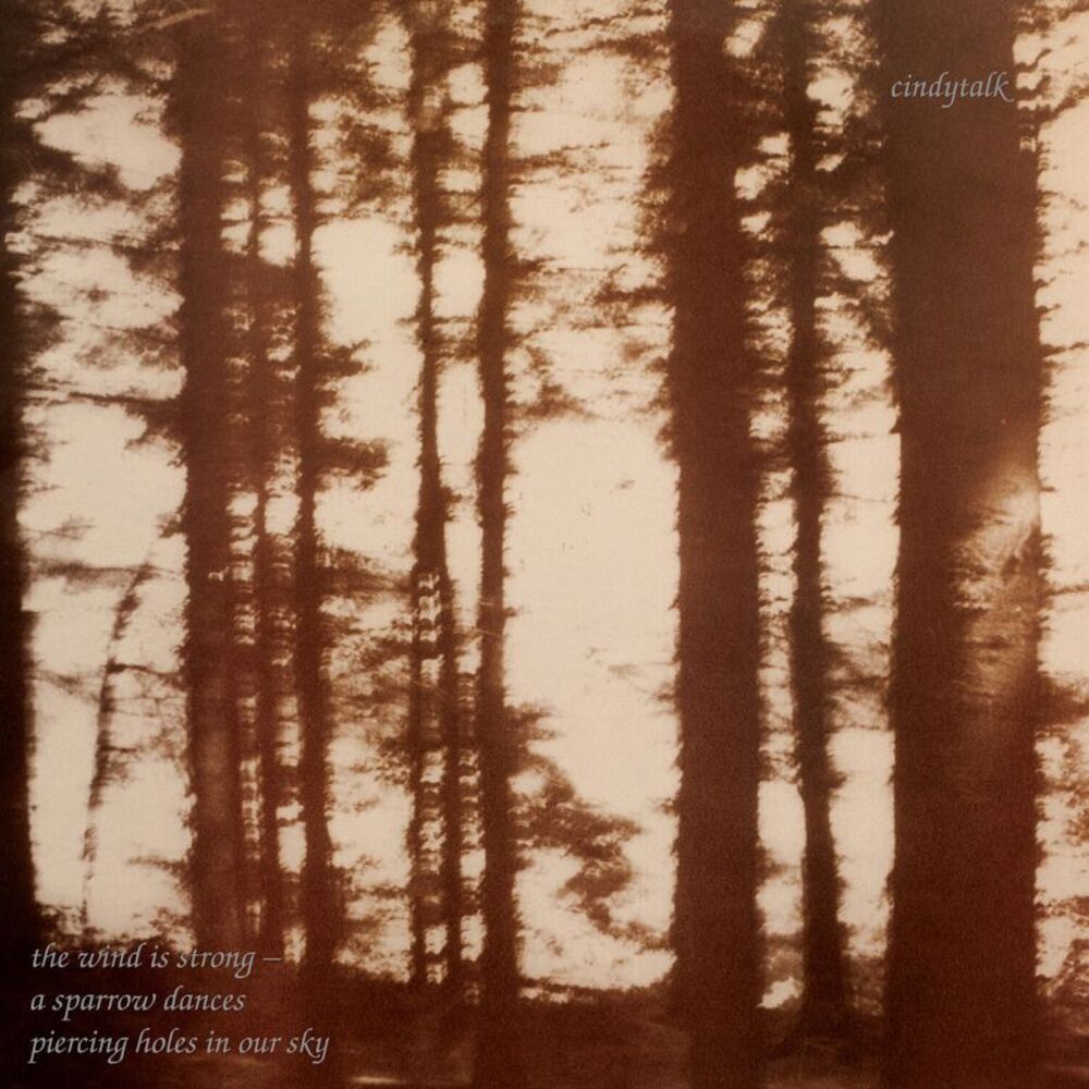 Cindytalk - The Wind Is Strong - Marbled Smoke  LP LP